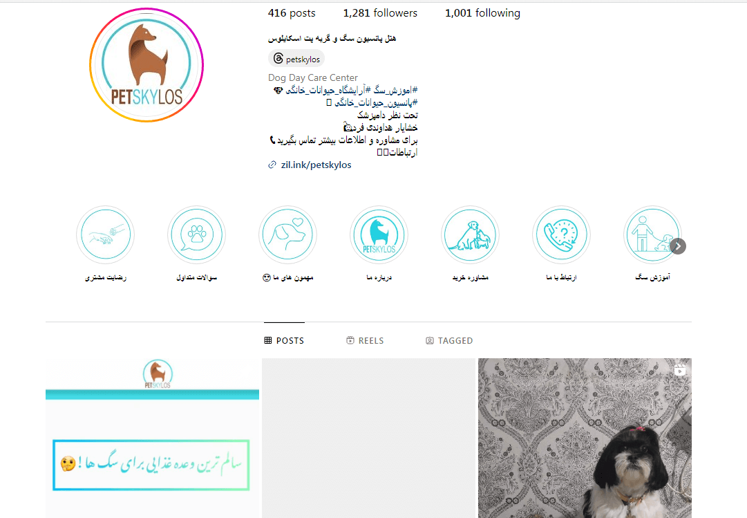 پت اسکایلوس